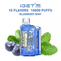 IGET FLARE B10000 – Blueberry Mint - Vape Shop Bengaluru