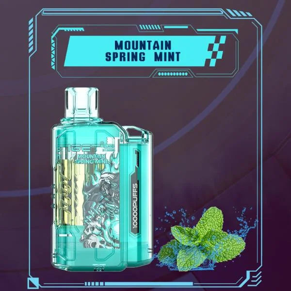 IGET FLARE B10000 – Mountain Spring Mint - Vape Shop Bengaluru